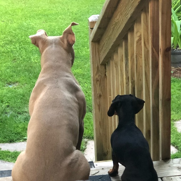 Meet your Posher, Jen - Picture 4 of 12